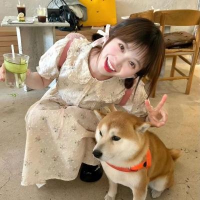 地上最炯新娘